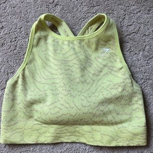 Gymshark Sports Bra